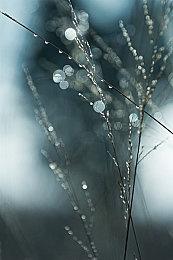 调查问卷显示微软似乎正在进行Xbox掌机开发计划